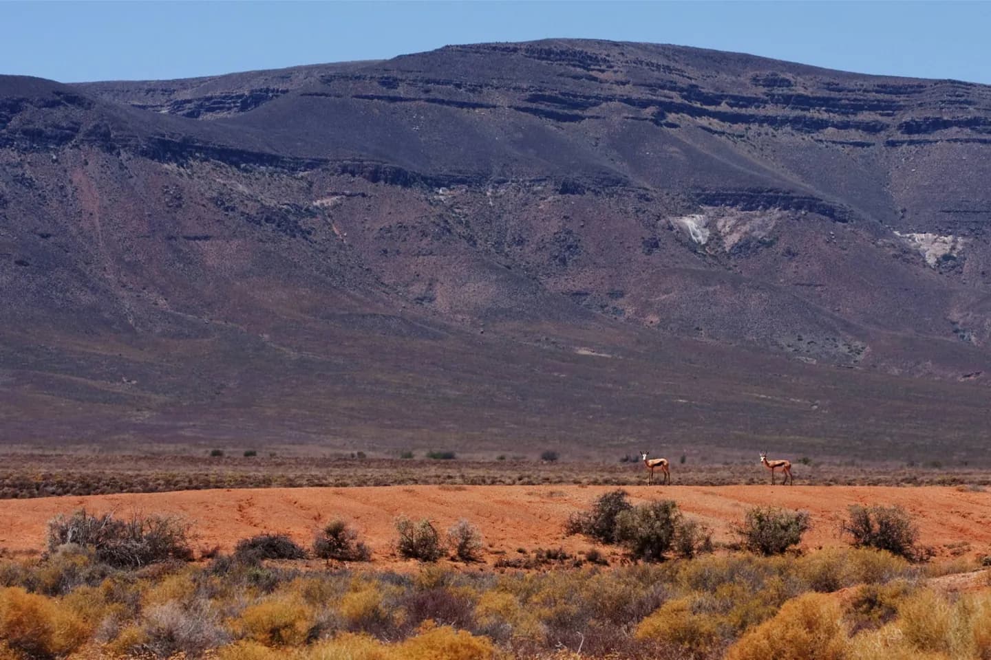 Tankwa Karoo National Park