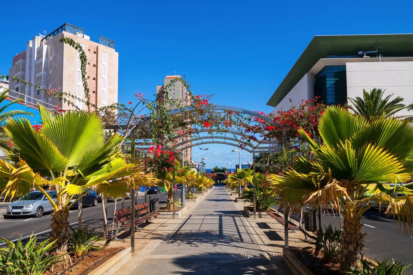 Capire Tenerife