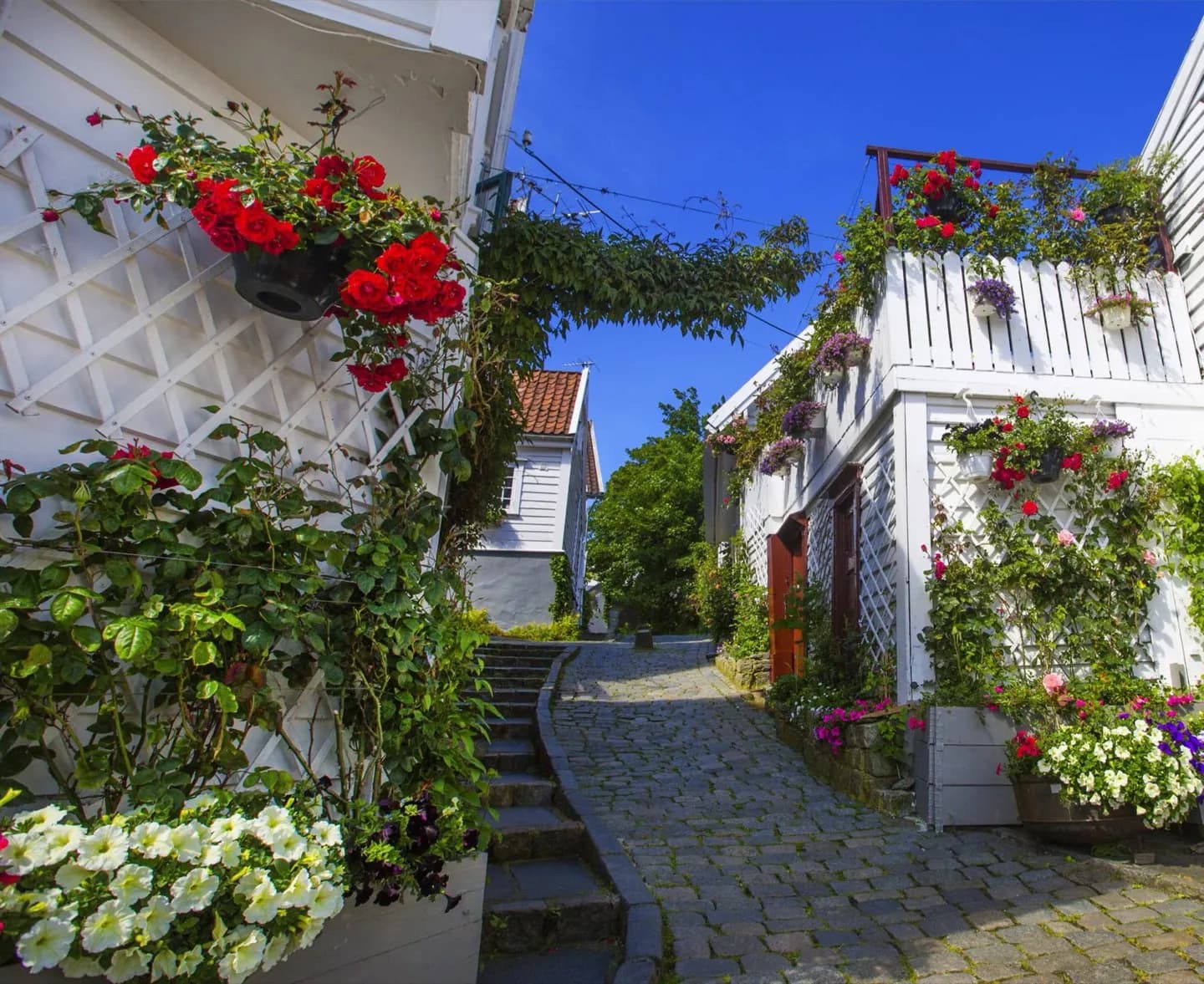 What to see and do in Stavanger