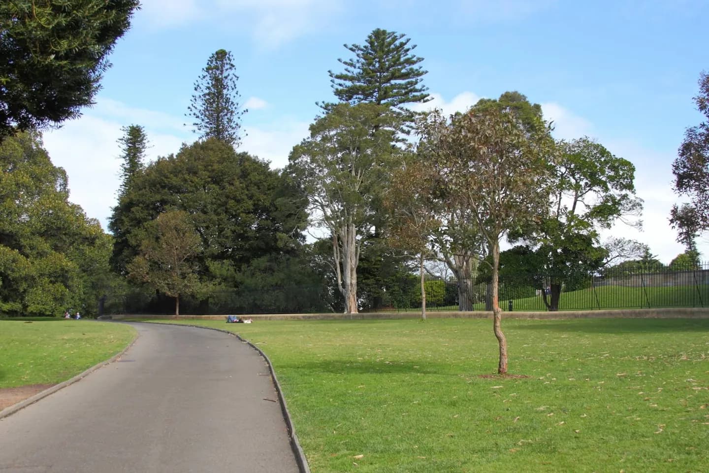 The Rocks, Observatory Hill and Harbour Views