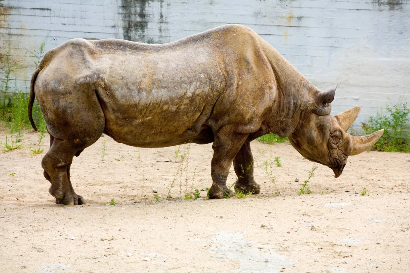 Zoo Tallinn