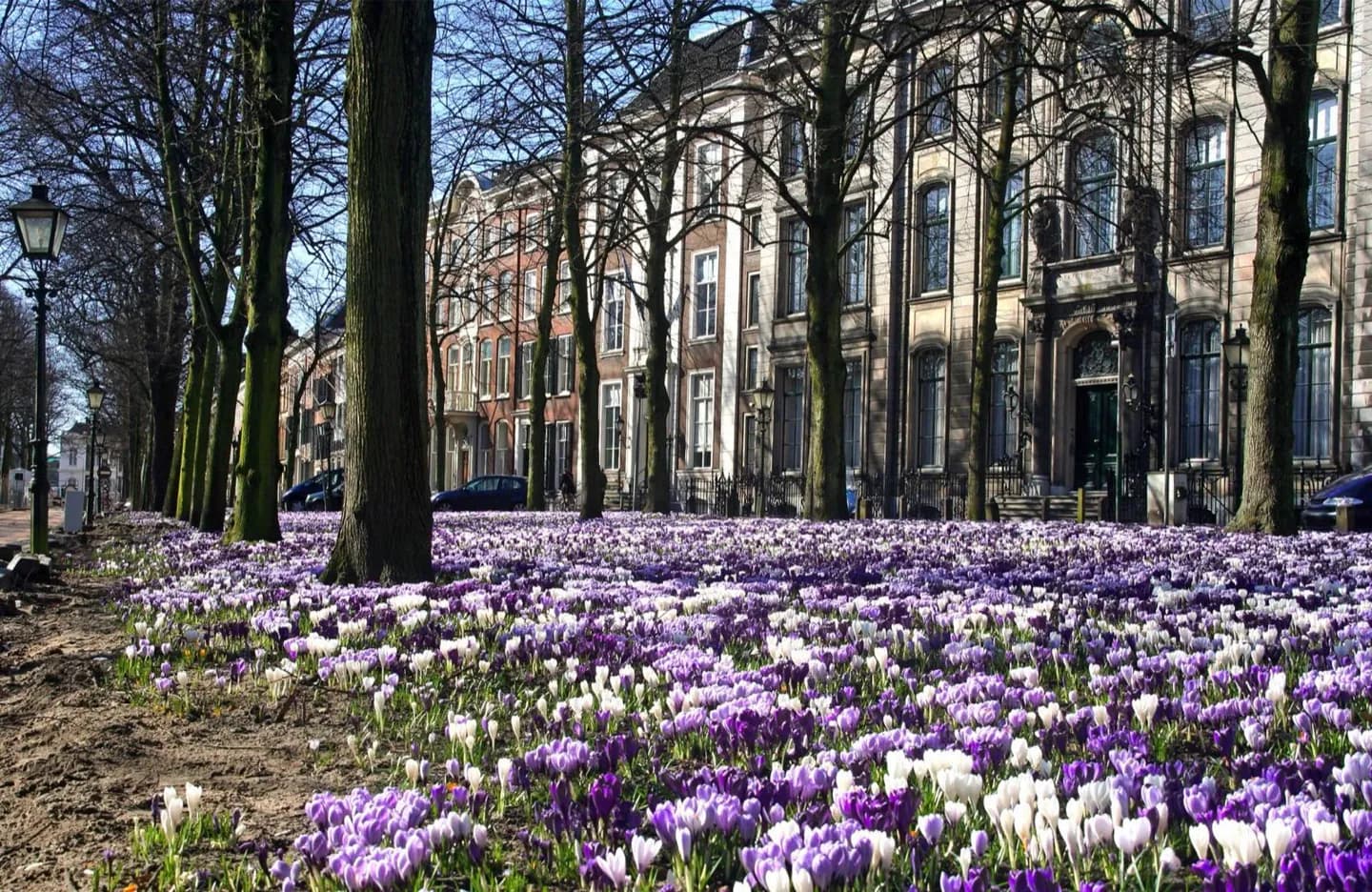 Lange Voorhout