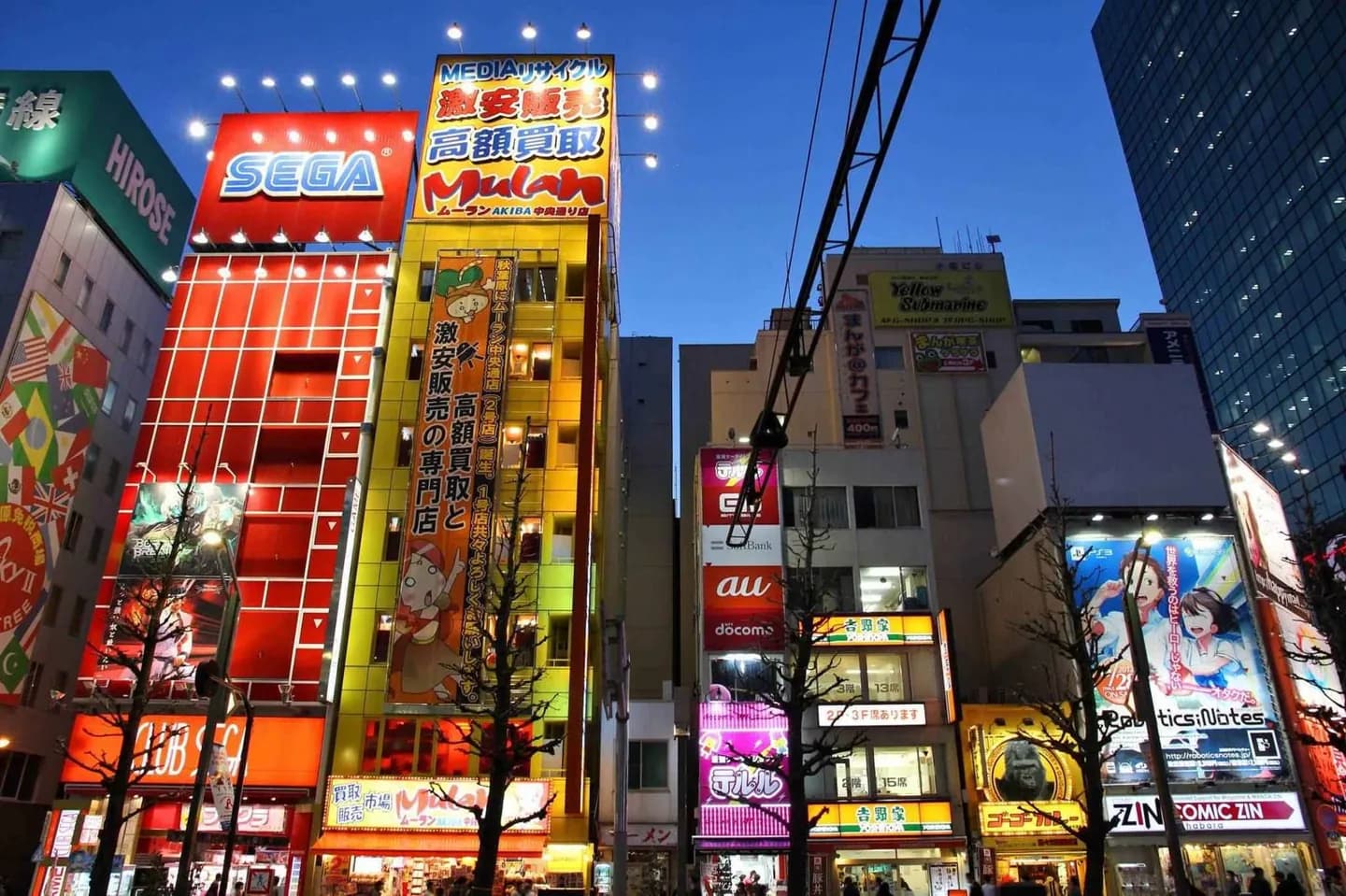 Akihabara Electric Town