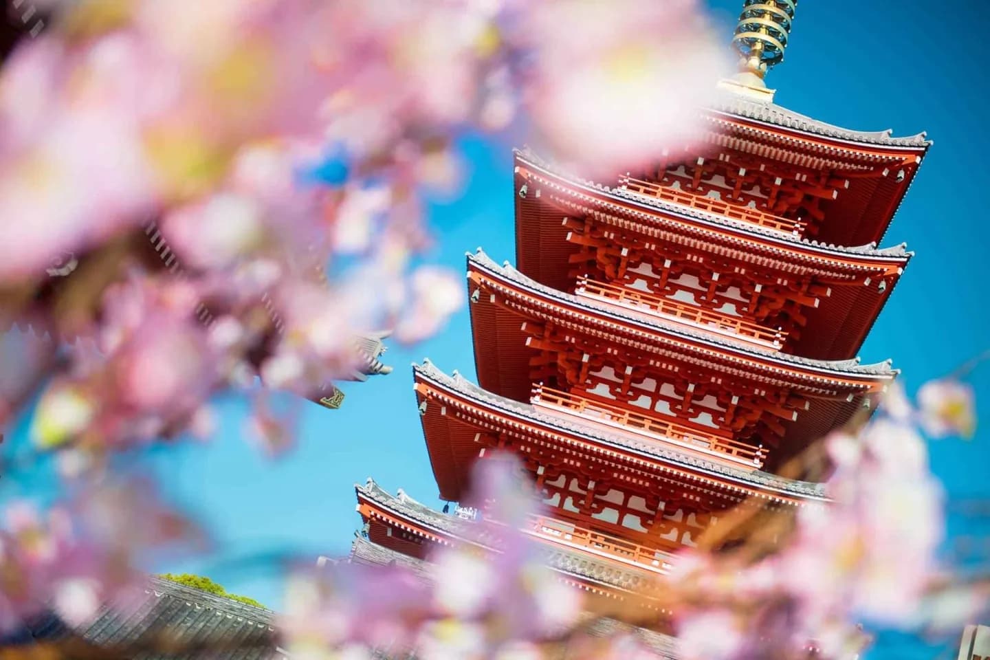 Asakusa Shrine