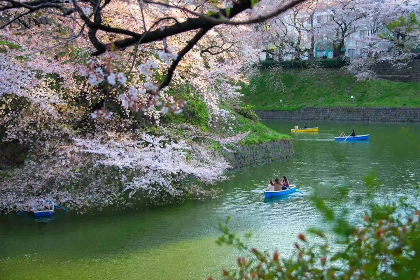Kitanomaru Garden