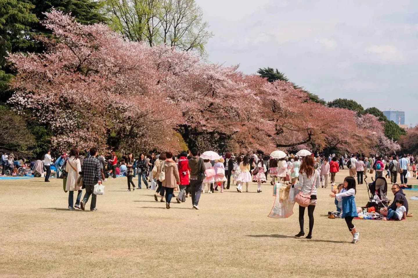 Shinjuku Gyoen Nationalgarten
