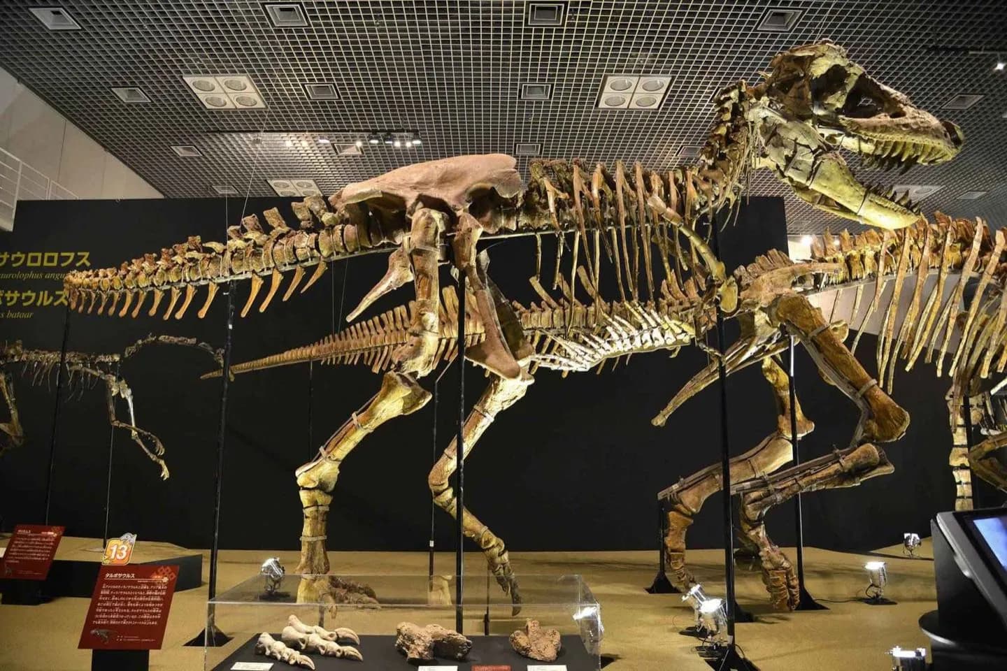 Museo Nacional de Tokio