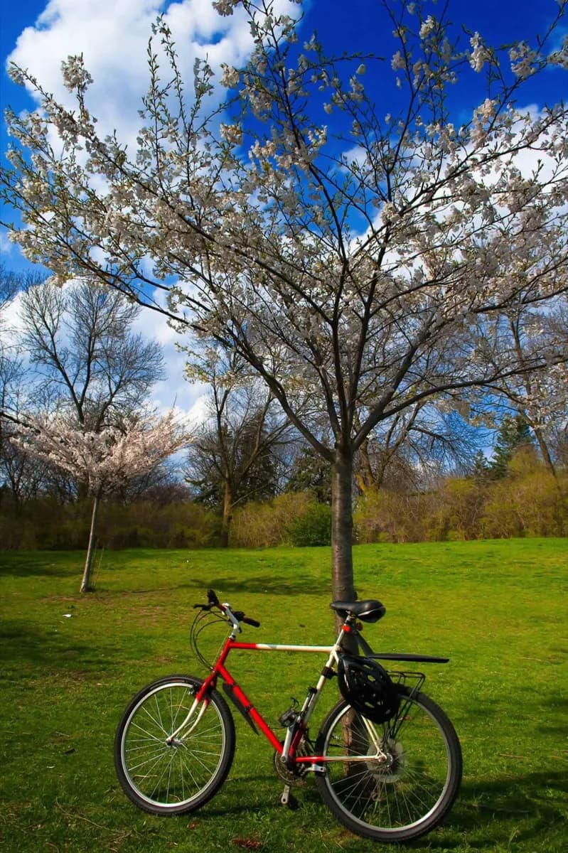 Andare in bicicletta a Toronto