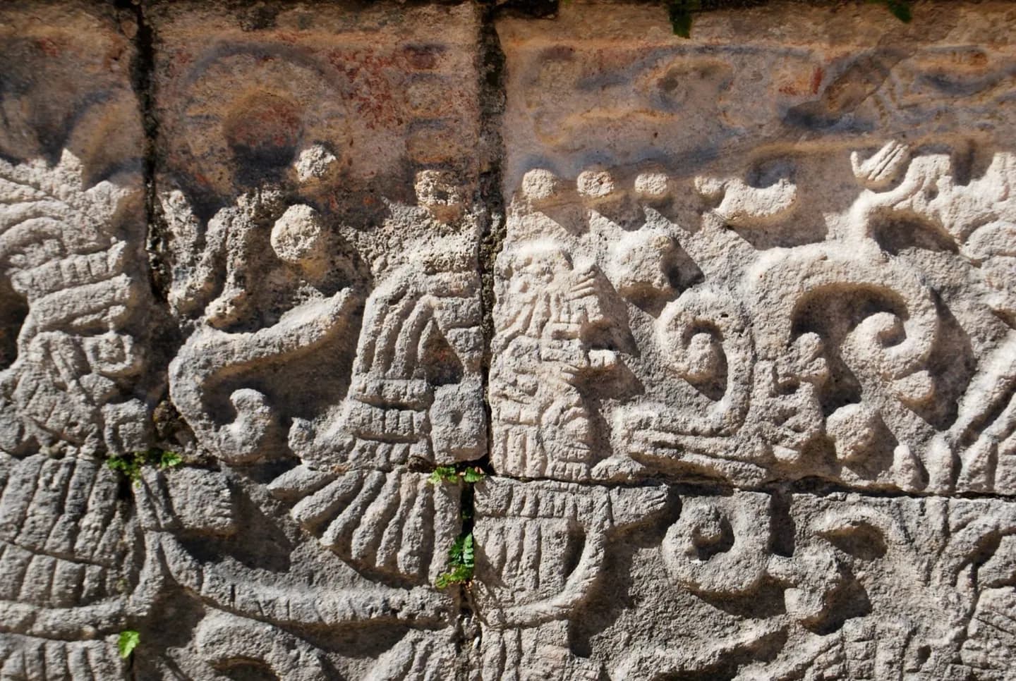 Maya Ritual and Sacred Stories