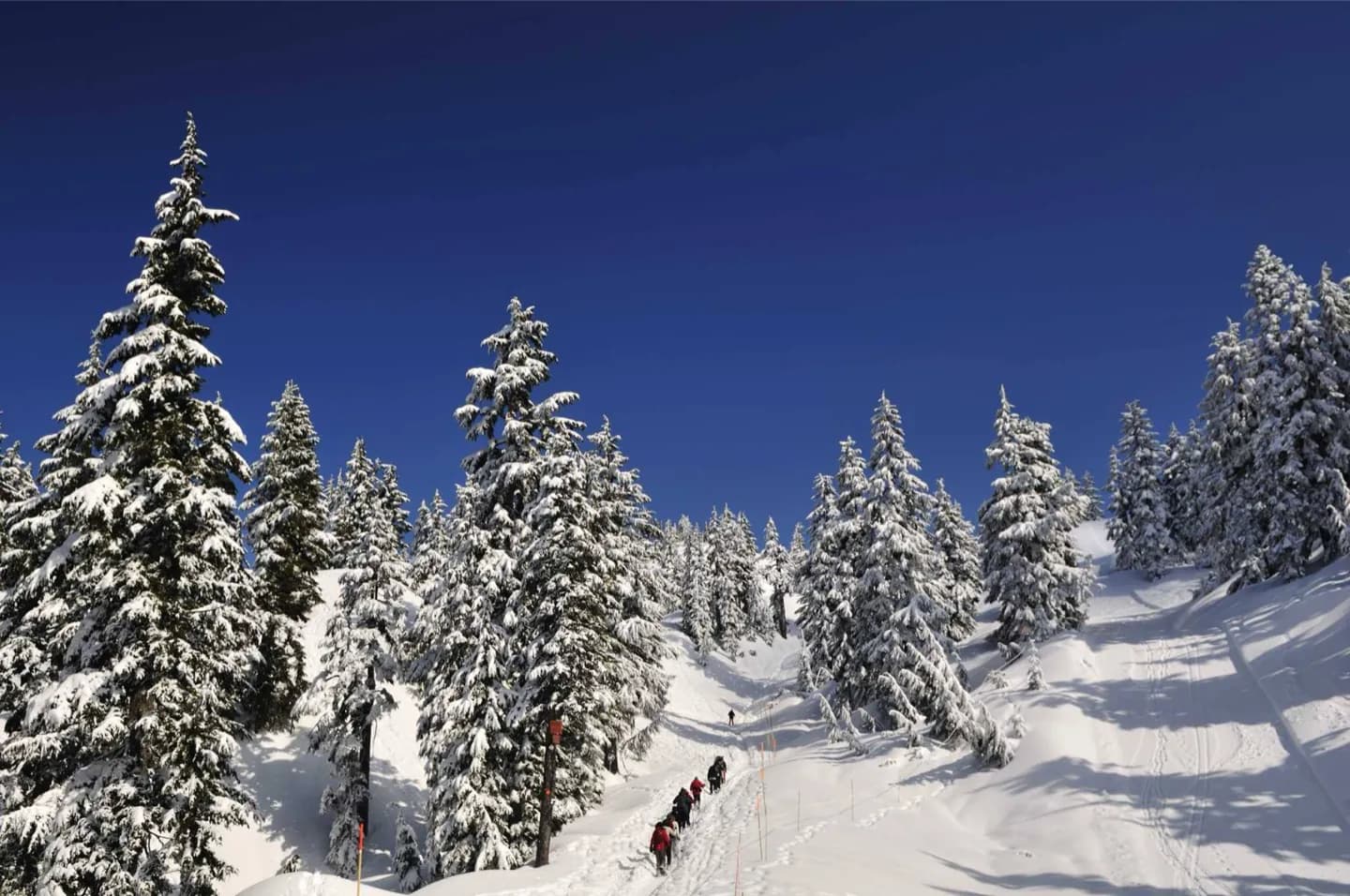 Mountains, Island and Vancouver Sports Venues