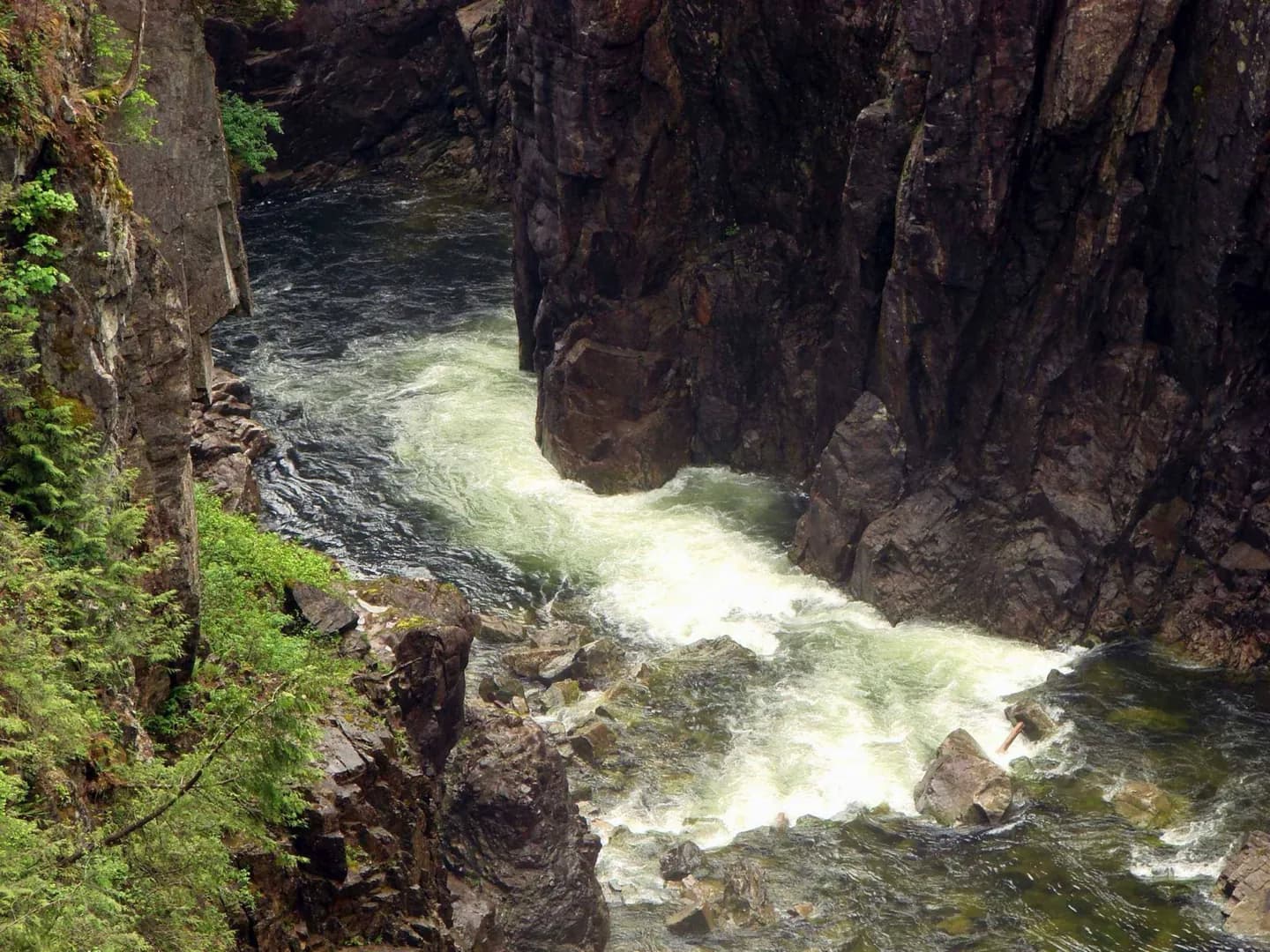 Capilano River Regional Park