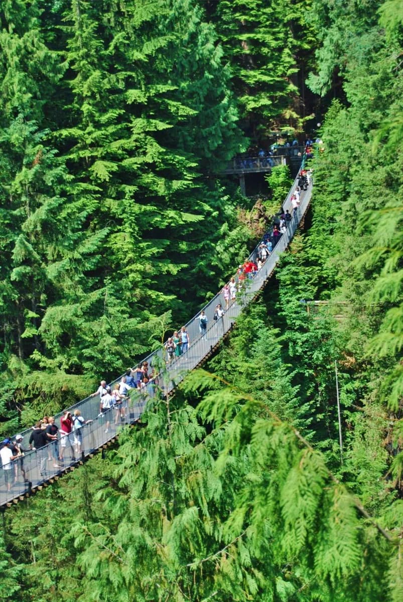 Capilano Suspension Bridge Park