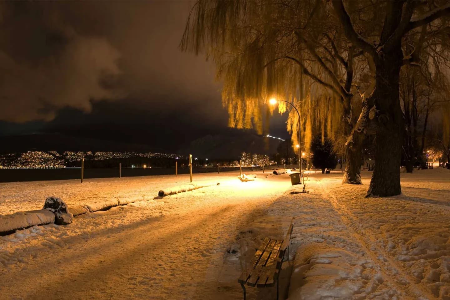 Where to Go Out in Vancouver
