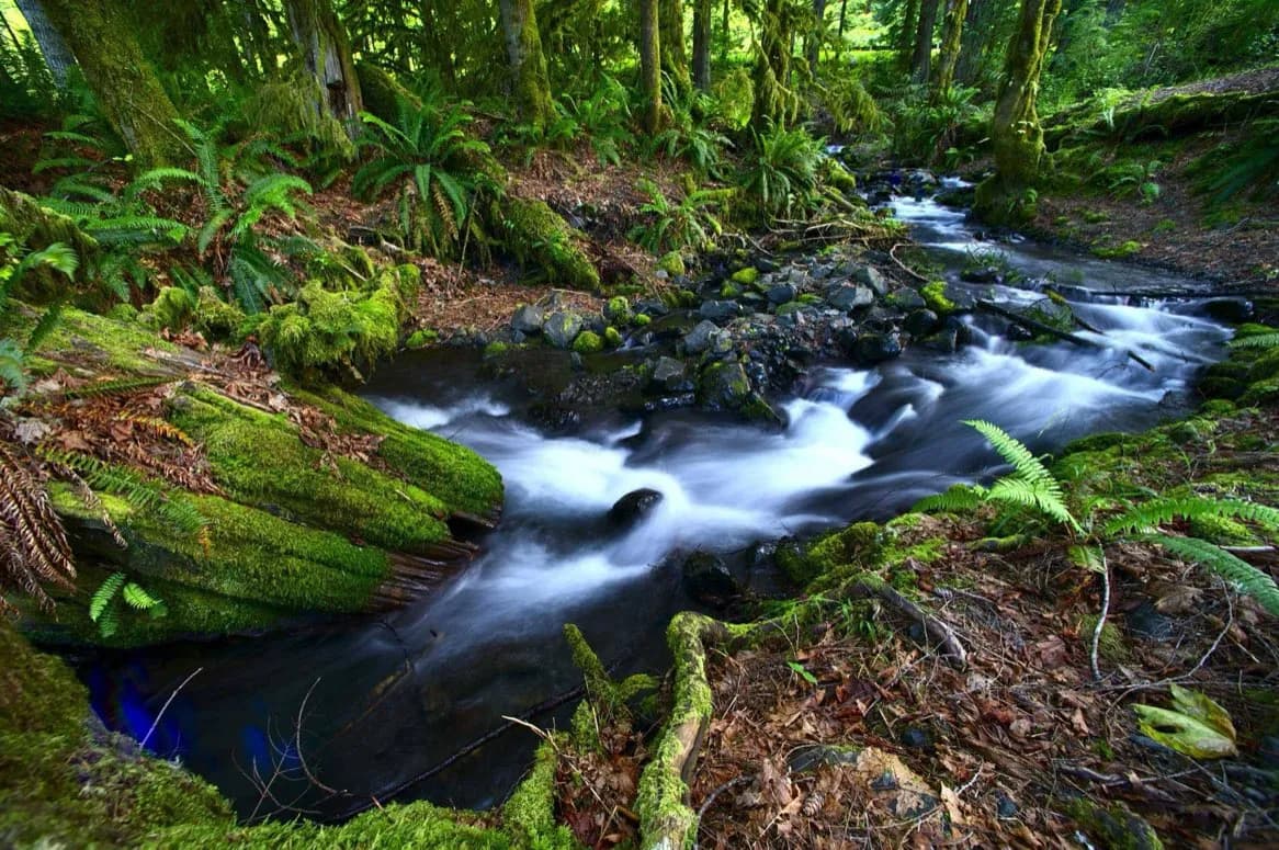 Rock Creek Park