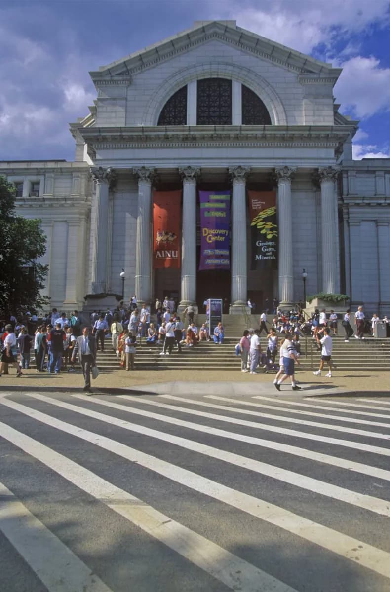 Flight, Dinosaurs and Masterpieces