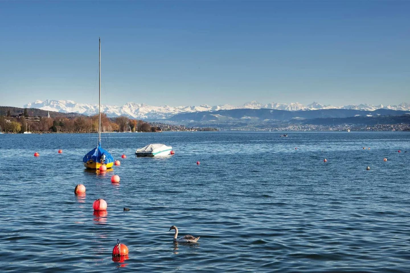 Lake Zurich