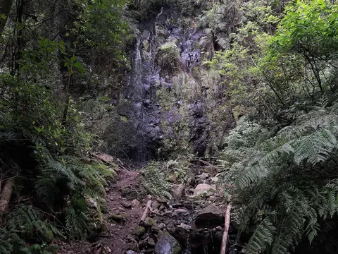 PR18 Levada do Rei