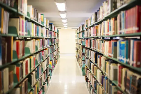 Université du Sud de Charleston · 2