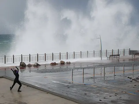 Paseo Nuevo
