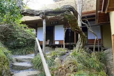 Jardim de Chá Hakuun-do