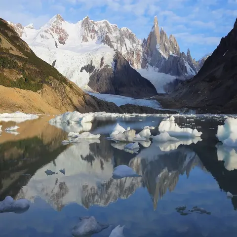 Forests and Steppe in Los Glaciares