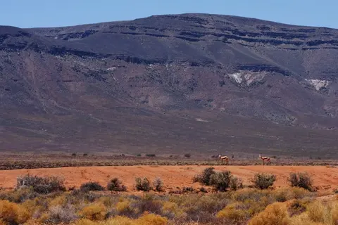 Parc national de Tankwa Karoo