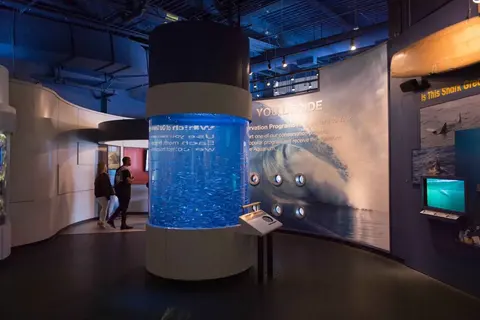 Aquarium der Bucht · 2