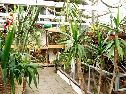 Centro de Reptiles de Malmö