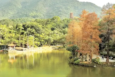 Botanischer Garten des Fairy Lake