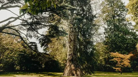 The Botanical Gardens at Royal Victoria Park