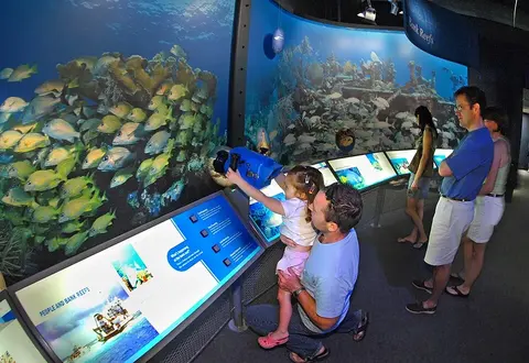 Centro de Descoberta Ecológica Florida Keys