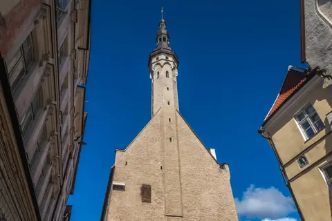 El Consejo Detrás Del Ayuntamiento De Tallin · 2