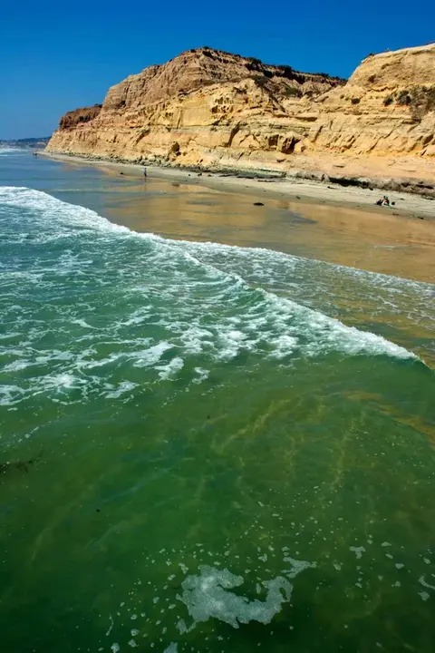 Torrey Pines State Beach · 2