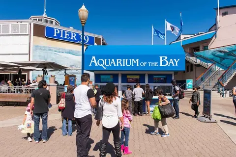Aquarium of the Bay
