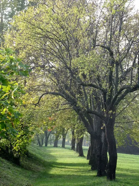 Parque de Villa Ghigi