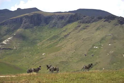 Parco nazionale delle Highlands del Golden Gate · 2