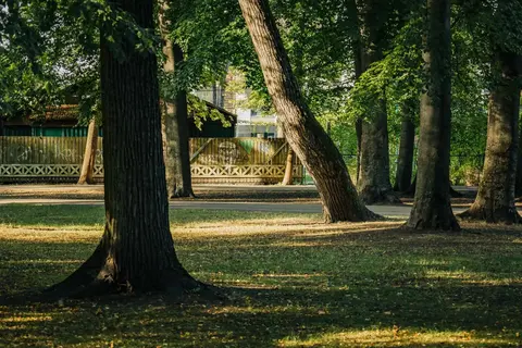 Jardim de Viesturs