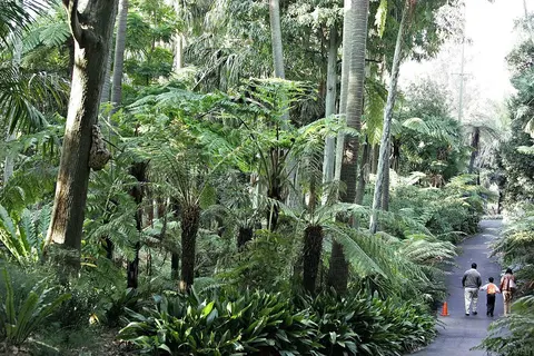 Königlicher Botanischer Garten Melbourne