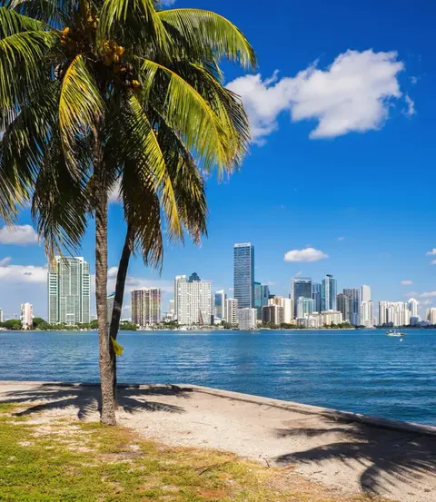 Coste, isole e pianure della Florida