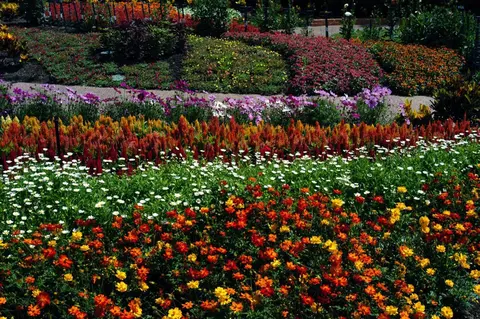 Parque da Rua Roma