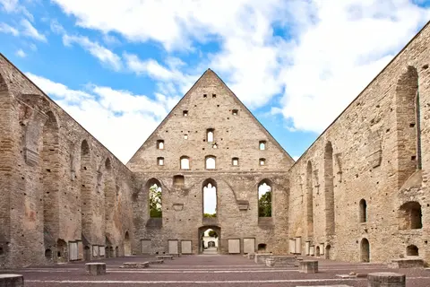 Ruines du couvent Bridgettine · 2