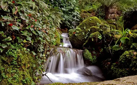 Cachoeira Beckford – Monserrate