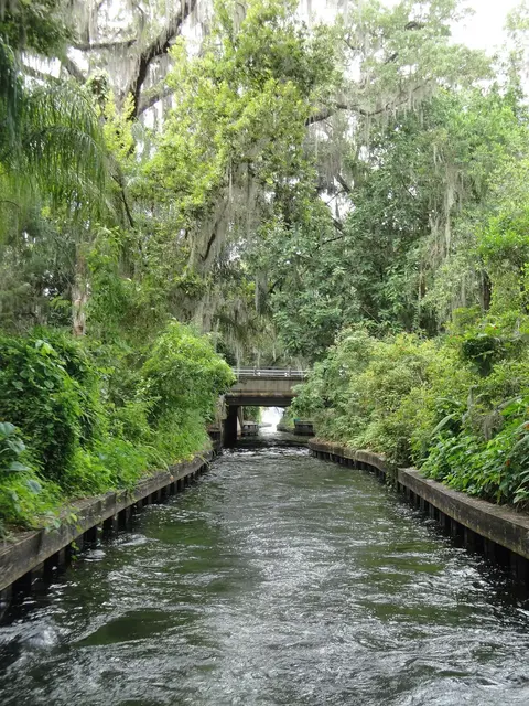 Winter Park per acqua, arte e storia locale
