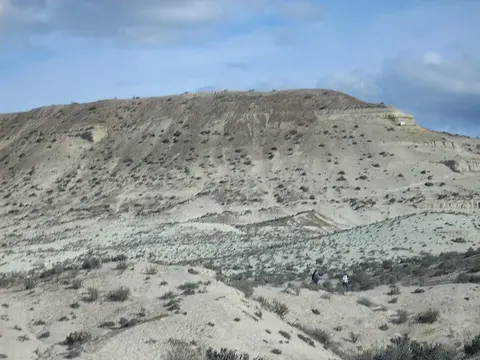 Parco paleontologico di Bryn Gwyn