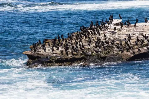 La Jolla Cove · 2