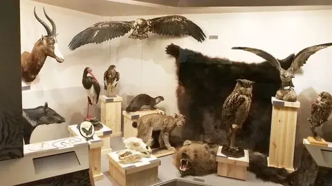 Musée national d'histoire naturelle de Lettonie