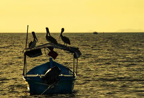 Puntarenas · 2
