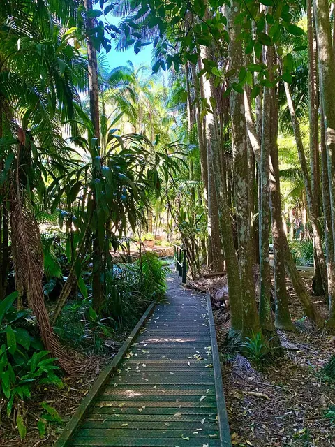 タンボリン山地域植物園