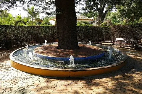 Botanischer Garten Molino de Inca
