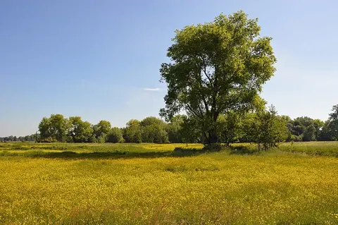 Bourgoyen-Ossemeersen